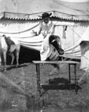 Annie Oakley jumping over a table